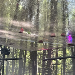 zi! @ Sustain-Release Year Eleven