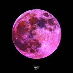 HEDI-2-TOE [COMETHRU] @elfesher @cxsket