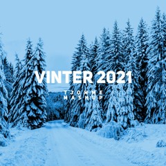 vinter 2021 - tjomme mashup