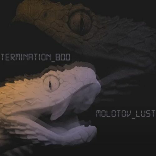 Molotov Lust - Snake In The Grass (Termination_800 Remix)