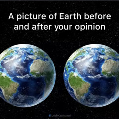 reality of your opinion.wav