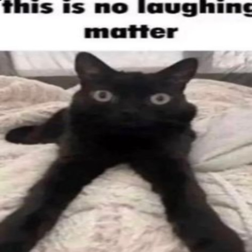 (VOTING ON DISCORD)WHAT DO I MAKE FOR 900 FOLLOWERS AHHHHHAYGREUYTFGUYWG
