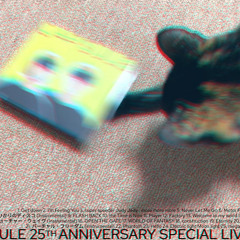 CAPSULE 25th Anniversary Special Live Mix