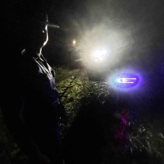 FreeTop