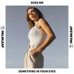 SHZA MN - Something In Your Eyes
