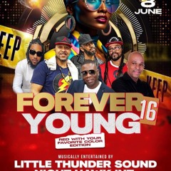 Forever Young Promo Mix  !