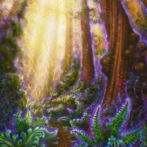 Psychedelic Summer [NIGHTPSY|FOREST/150bpm to HI-TECH] [LIVE-SET|PsyLegacy|29.07.22]