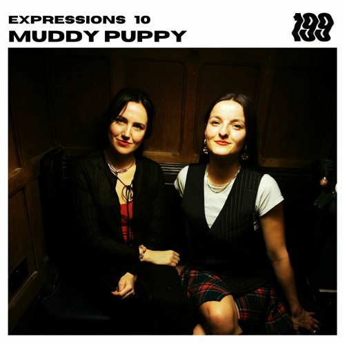 Expressions 10 - Muddy Puppy