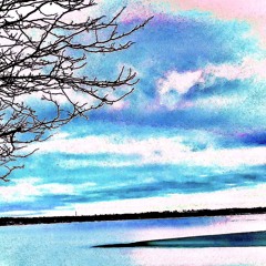 Dont  Call [p. shingan]