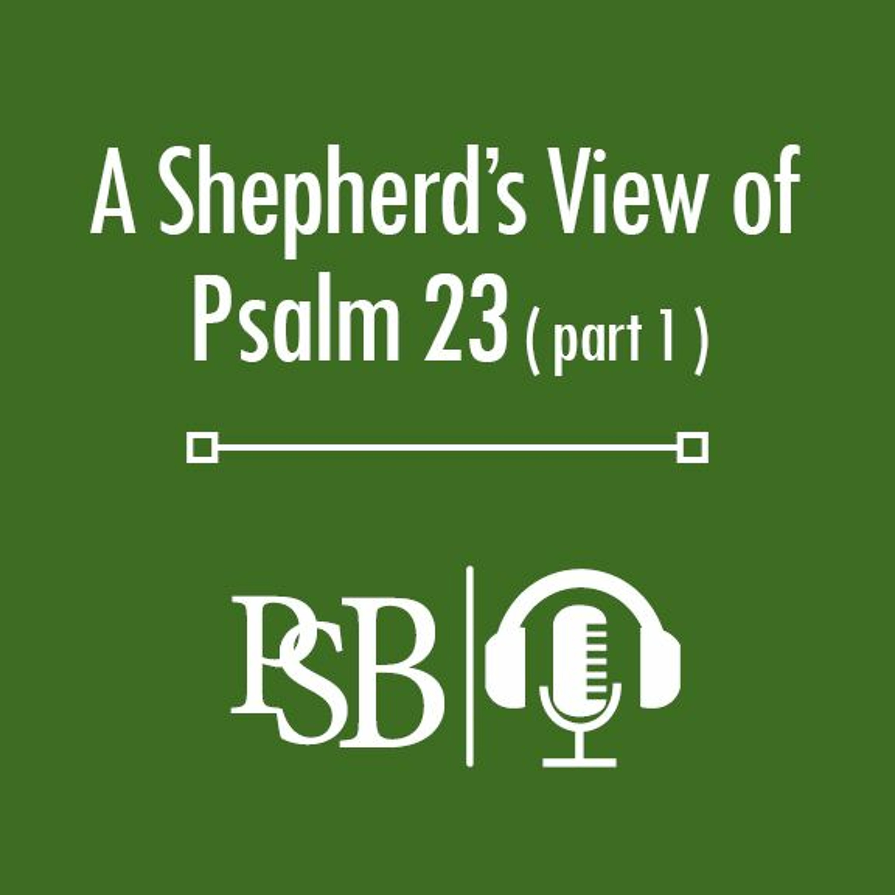156 | A Shepherd's View of Psalm 23: Part 1 of 2 (with Levi Bailey) episode artwork