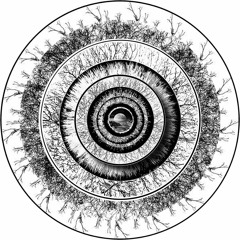 Rise Of The Resounds And Reverbs - Dub Techno