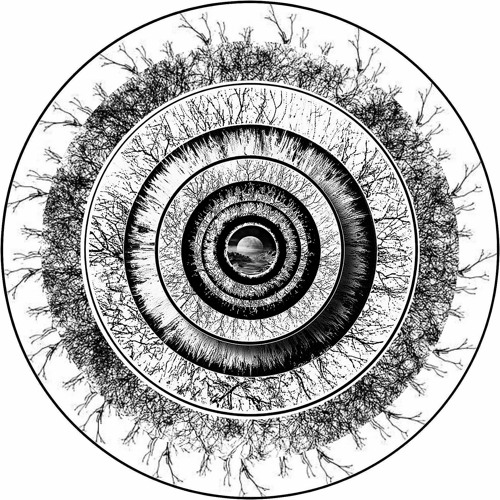 Rise Of The Resounds And Reverbs - Dub Techno