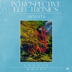Introspective Electronics w/ Avsluta x Netil Radio | August 21