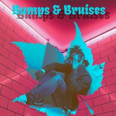 Bumps & Bruises [reprod. e.hbeats]