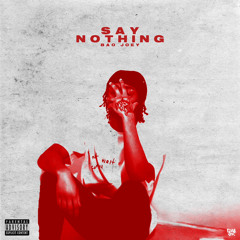 Say Nothing