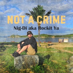 Roсkit Ya    Not A Crime