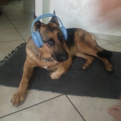 Daddy Deejay Mashup Pack  [Bass & Electro House].mp3