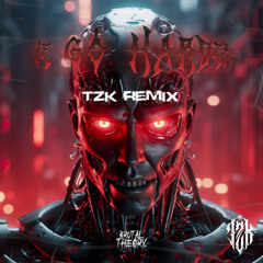 Brutal Theory - WE GO HARDER (TZK remix)