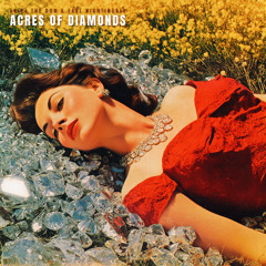 ACRES OF DIAMONDS (Instrumental)