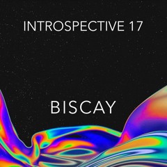 INTROSPECTIVE 17