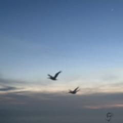 Im still growin up too .m4a