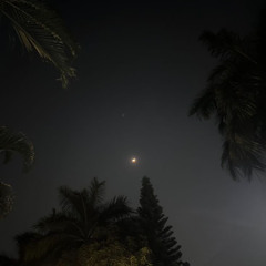 Roun Me [p. R$X & Yung Brando]