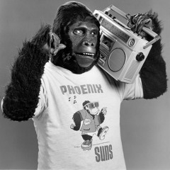 SunsOfPhoenix (Gorilla Beat)