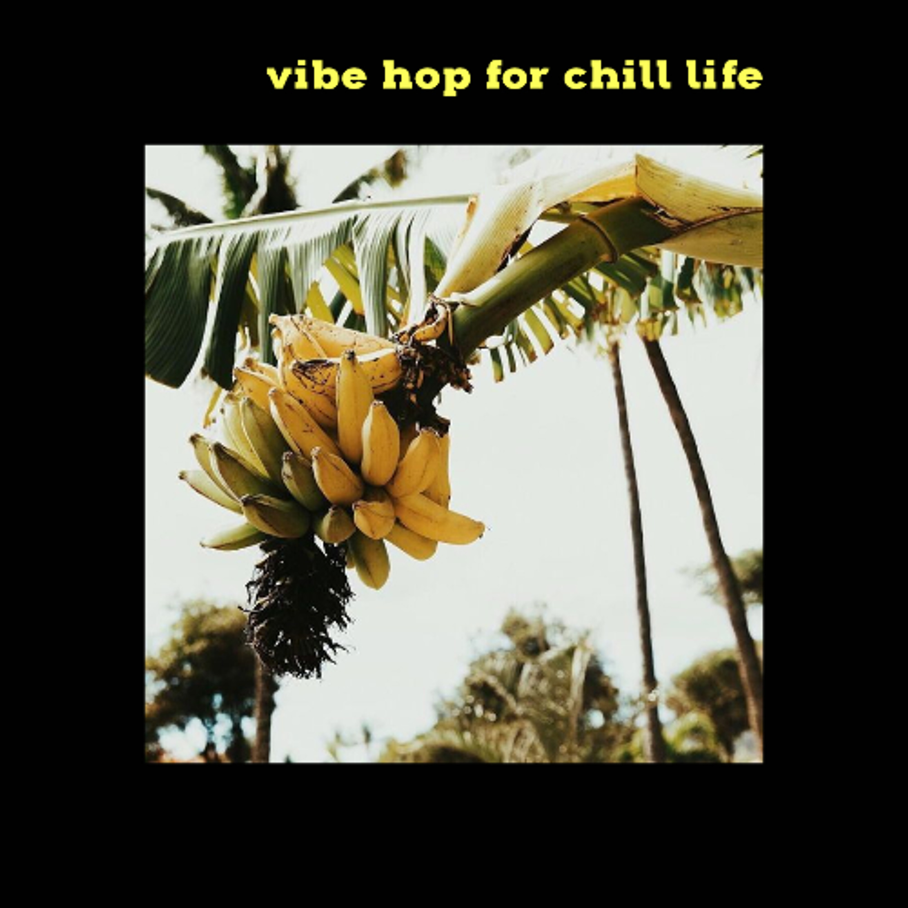 VIBE HOP FOR CHILL LIFE