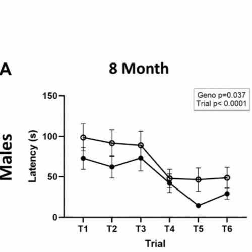 The Impact of Ketogenic Diets on Cognitive Behavior, Motor Function, and Blood Lipids