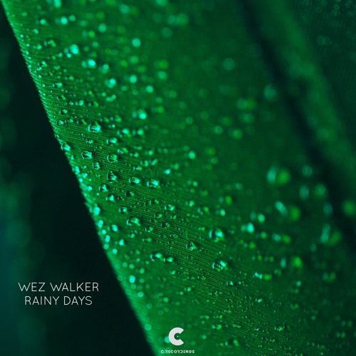 Wez Walker Releases on C Recordings