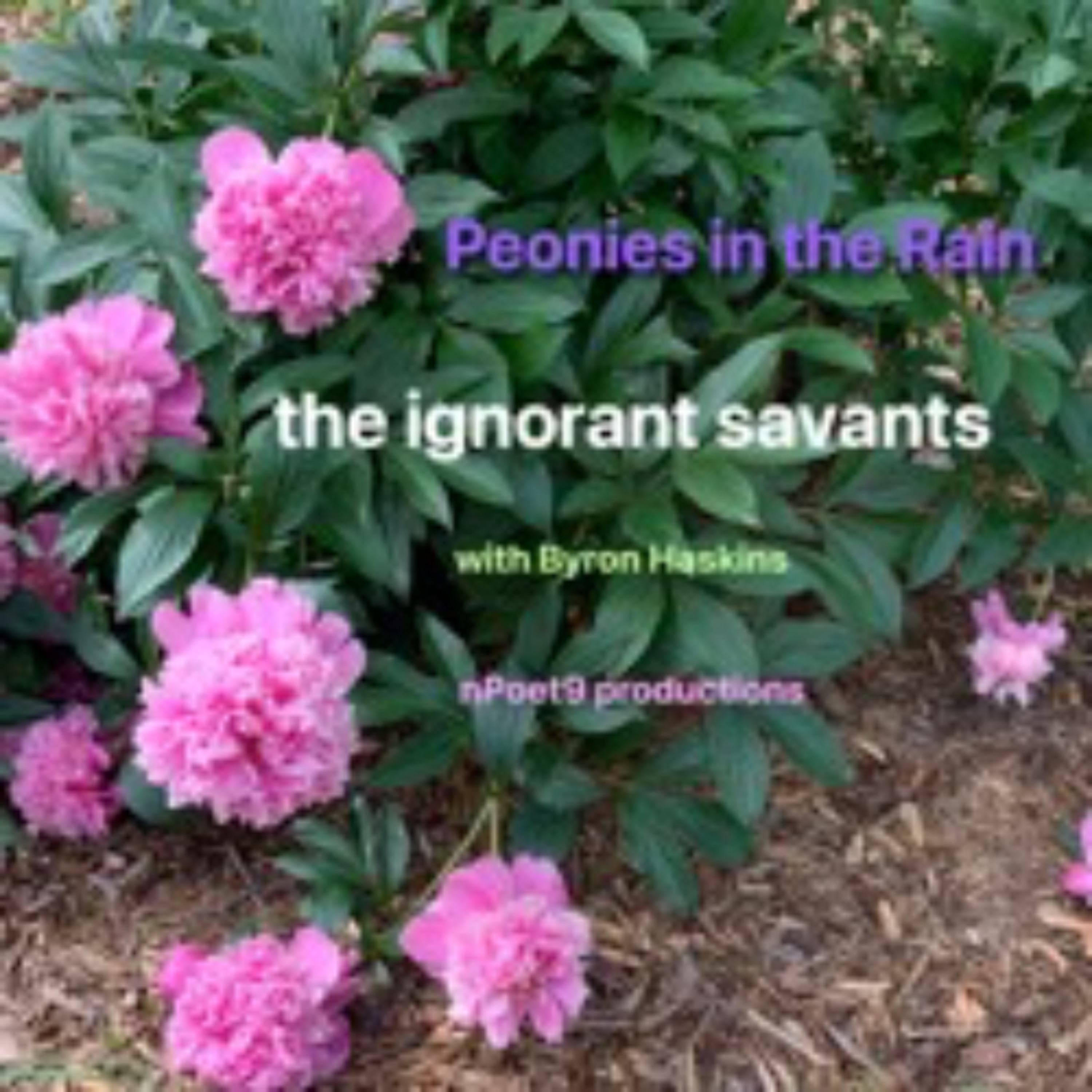 the ignorant savants
