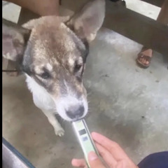 Muộn Remix Thái Hoàng (H2 Hà Nam)