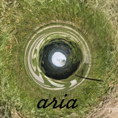 Aria