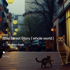 istanbul-street-story ( tears of joy ).