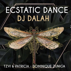 DALAH ⟁ Ecstatic Dance #8 - Shivari @ Koh Phangan, Thailand