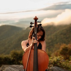 Crimson Wolf (Aggressive Racing)