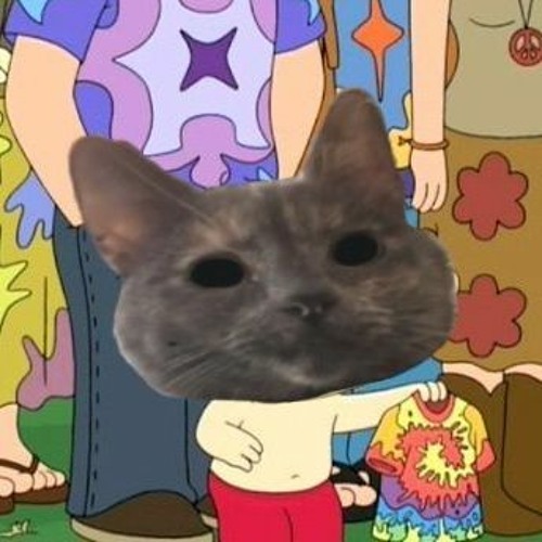 Dude, Where's My Cat!?