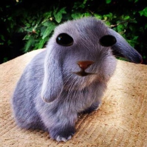 Sanding Paper (Crap Demo)