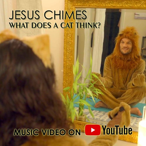 What Does A Cat Think?