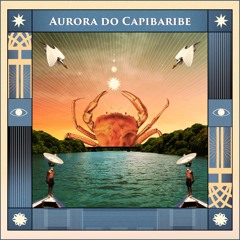 Reciclagem Sonora - Aurora do Capibaribe
