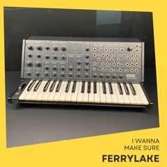 Ferrylake - I wanna make sure