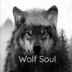 wolf soul.mp3