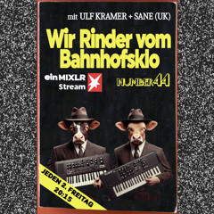 Sane - DJ Set - Wir Rinder vom Bahnhofsklo 044 - 2024