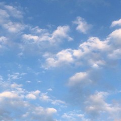 sky (prod.1ntcart) [FuckThaWorld]exclusive*🦅🌎