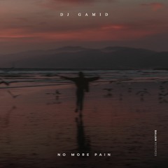 DJ Gamid - No More Pain