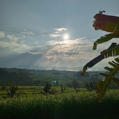 REK✵NNEKT | Mix 13 ✧ Bebe (Sambangan Records) @ Magik Hut 5/25