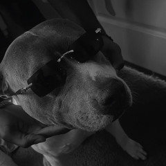 TC BigTom X TC MarMar X TC TMoney - Never Scared