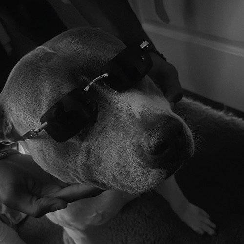 TC BigTom X TC MarMar X TC TMoney - Never Scared