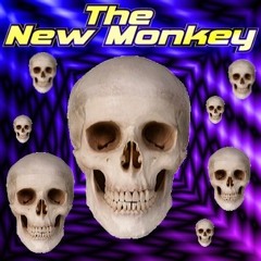 The New Monkey - Saturday 17th April 2004 - Dj’s Nemesis B2b ChrissyG  Mc’s  Scotty Jay & Ronez