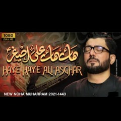 Haye Haye Ali Asghar (a.s)- Mir Hassan Mir New Nohay